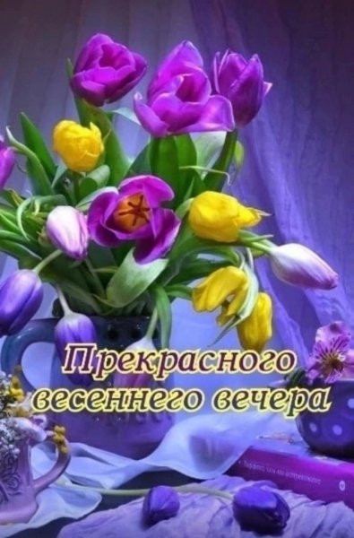 Друзья мои!