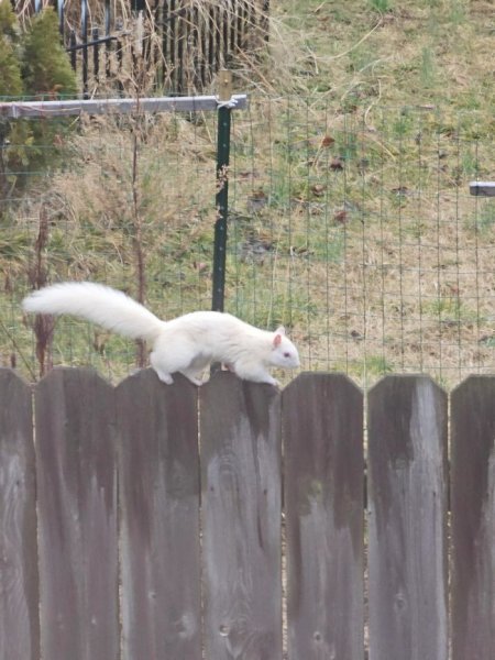 D78ffd9af4 pjatnica-prishla-a-s-nej-gora-pozitiva-5