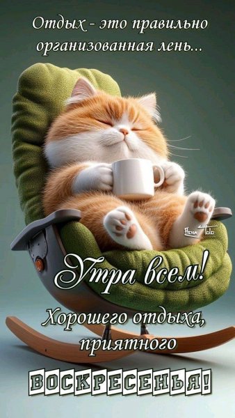 b7a8086541c8a309e3ab2149fd47