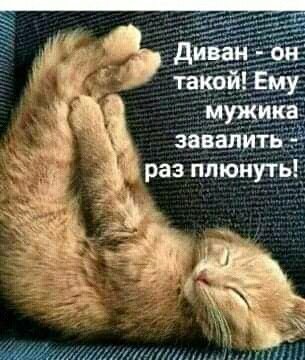 B9ab9a5ddd7228a1e04aa2965a859cc0