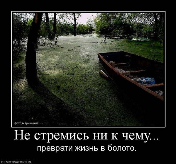 Demotivator (10)