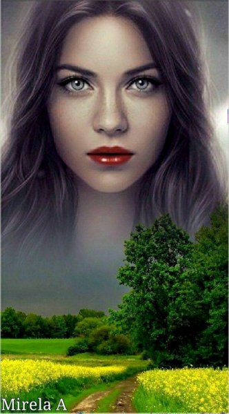 d84bf8d170c8b09e27586c347cfd