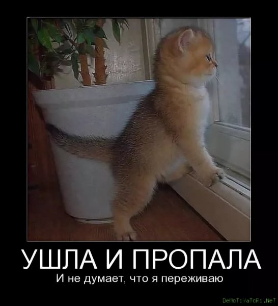 Ушла и пропала