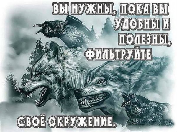 IMG 20181123 195857 3