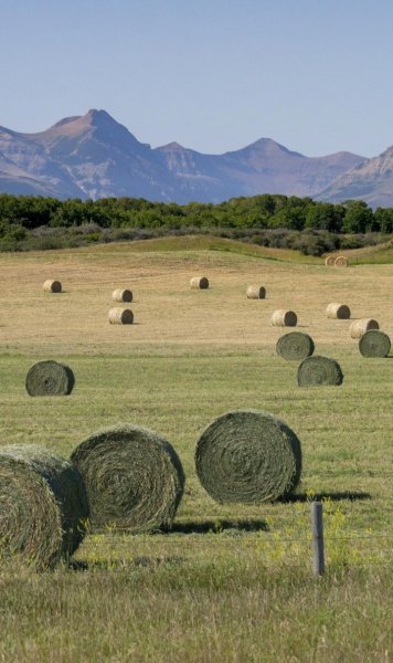 Screenshot 20260417-161113 One UI Home