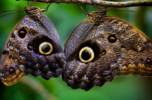 Post 5c47115ae87e1-620x407-1