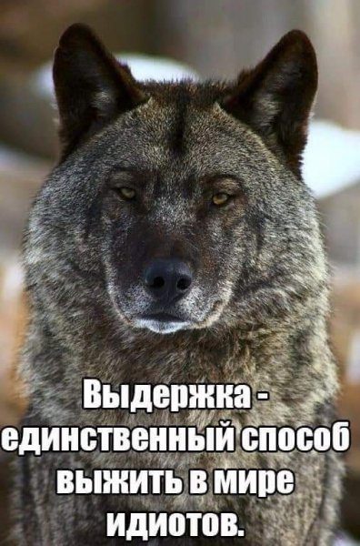 FB IMG 1550326446701