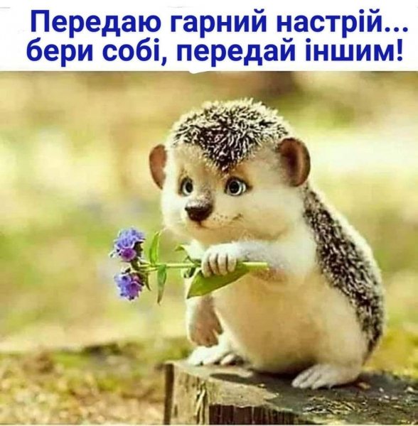 Передаю гарний настрій