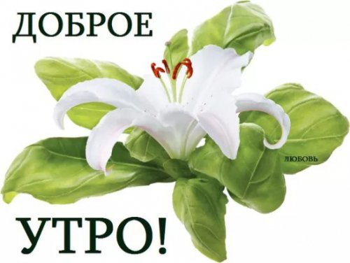 доброе утро