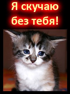 IMG 20161102 122016 41