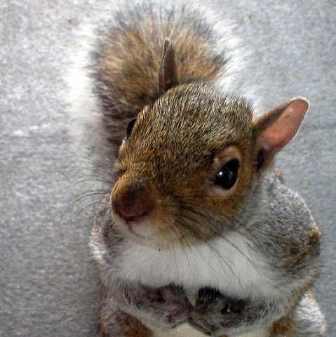 image-22
