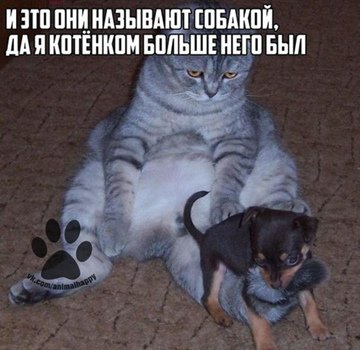 И то верно! )))