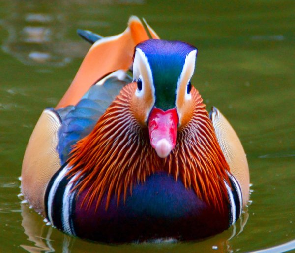 IMG 20151106 164102 41