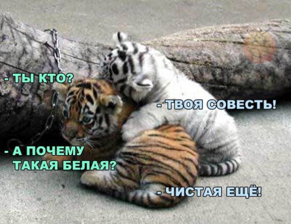 O57W6ITQxWQ