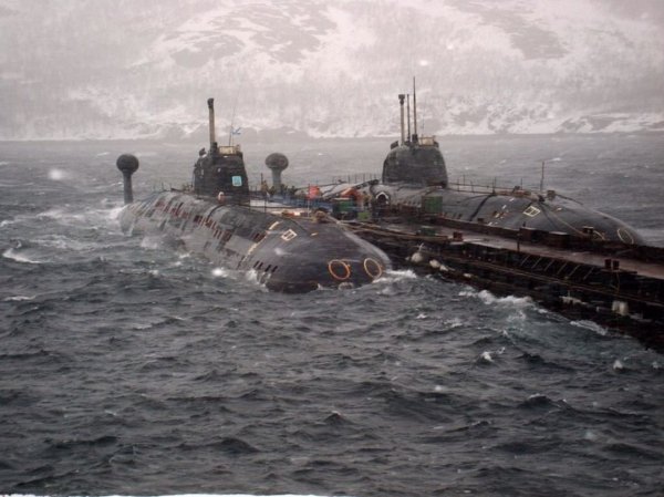 barakudasssssss B8dJhWghjn5