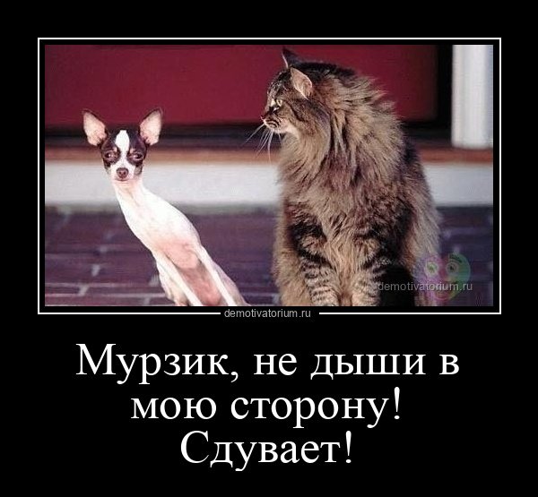 Сдувает!
