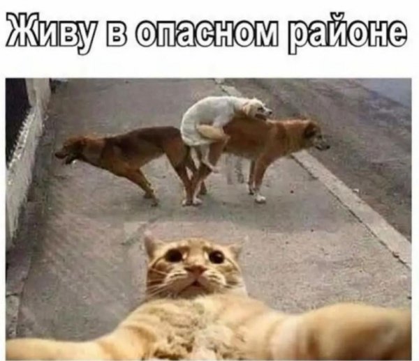 TtJ7UzLxGRwZ3SjTOAf33cgz8OcRHVdN1mDmkBNOIwVnchP6O6del3YRVb-h