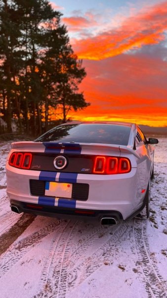 Shelby GT500