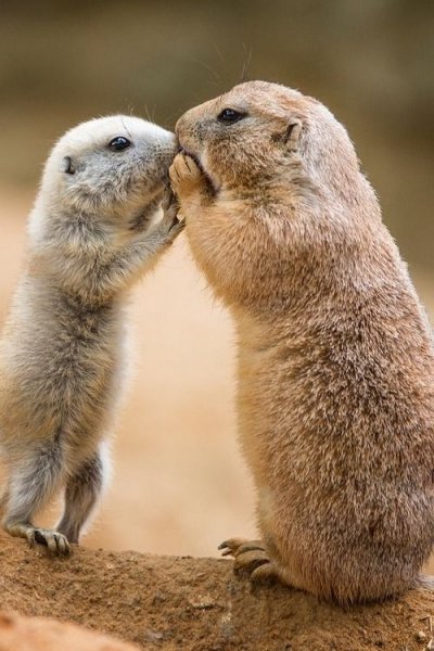 F37f90d81f1df13dc7f50cab57ab0d51