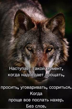FB IMG 15962929737622028