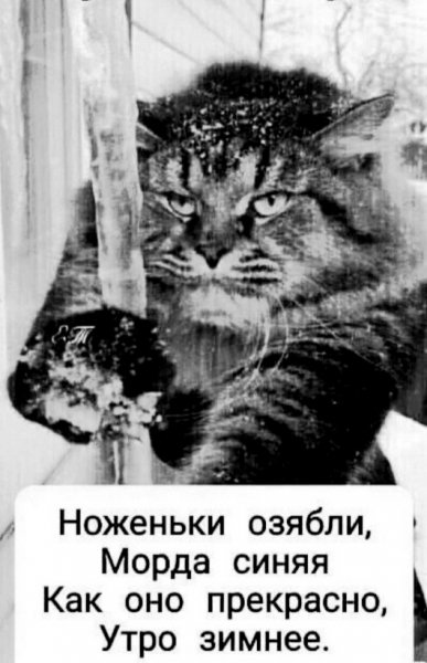 8cbHDVH0ajC 6WZA0T-Z2j26W7DWtwCohWmFA2J3Kwg3ycpZ3K-Txn7Ll7a8