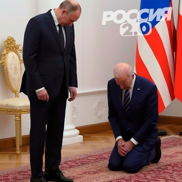 IMG 20230413 122652 334