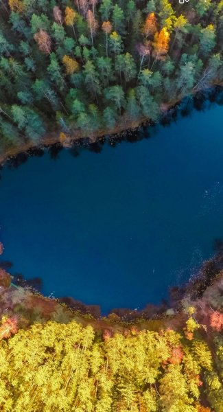 Screenshot 20250321-124517 One UI Home