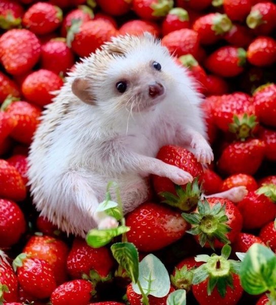 ca122579acc605d08b2a209f7