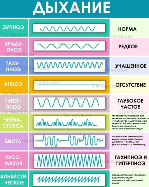 Дыхание