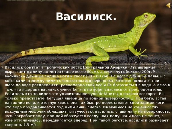 Василиск