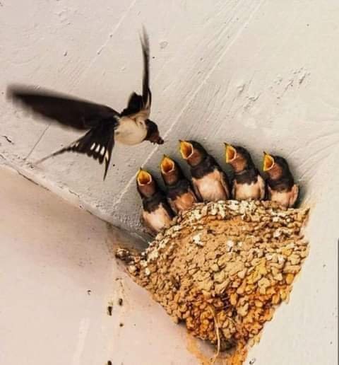 FB IMG 1620591309690