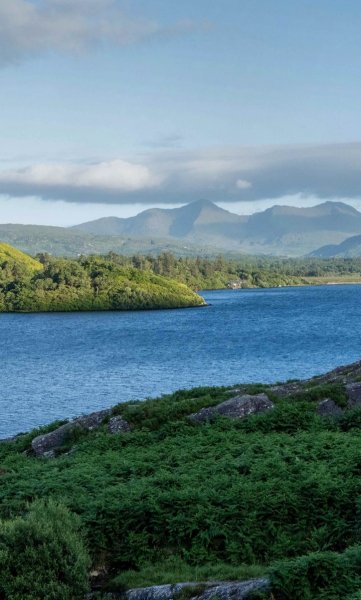 Screenshot 20250307-214501 One UI Home