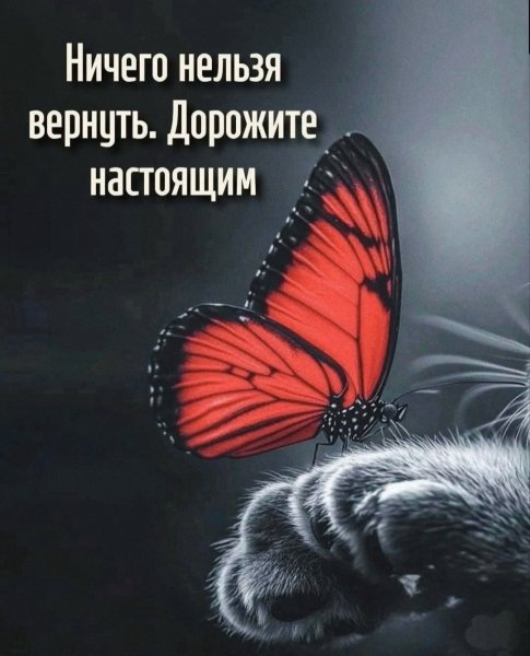 picture_411273592