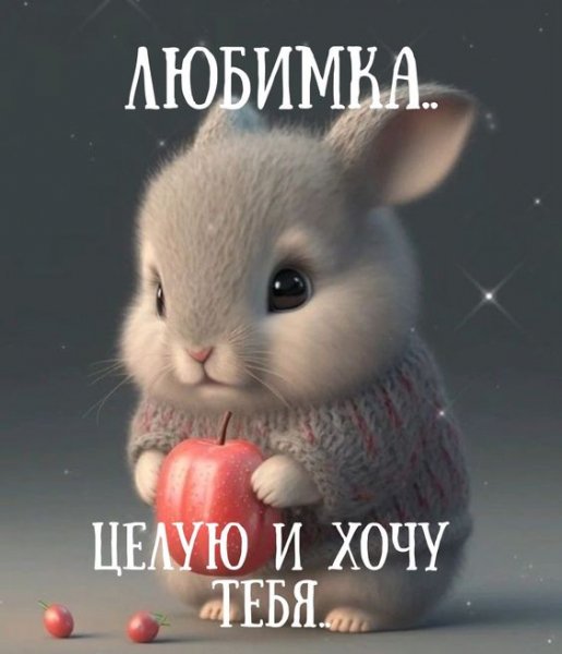 Befc5f2d449597228614bfdb482b29b0