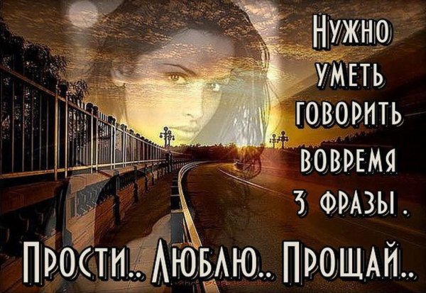 Верные слова!