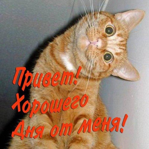 Хорошего дня от меня!