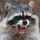 file_38469826