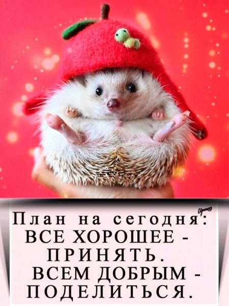 F8b940c7473c8a7dced75a6a0e2e8949