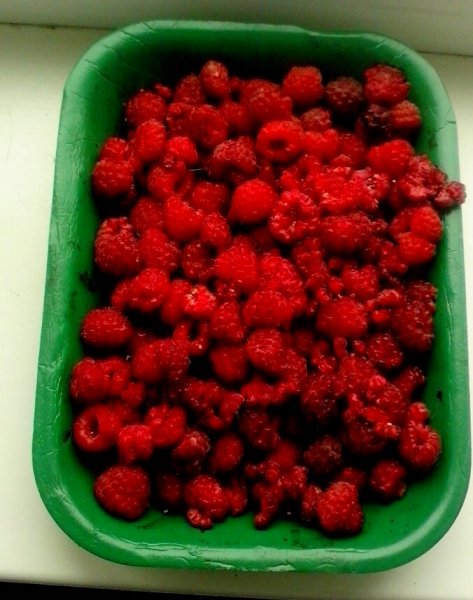 Малина - ягода