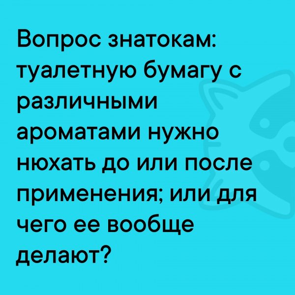 BJDk2H PeirH2Fc6tdemqyR3wEWcA1TvNa8S8FzeqGNxt