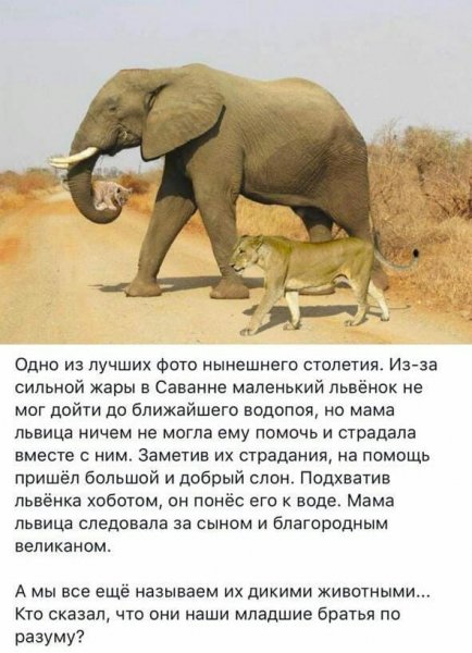 Водяное перемирие