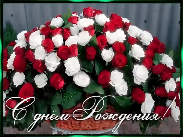 С Днём рождения!