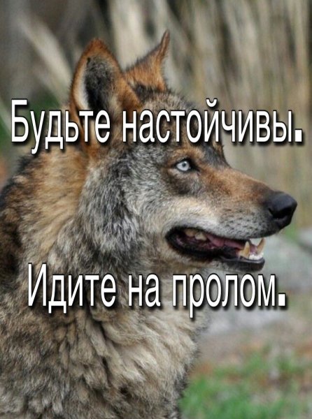 IMG 20220311 112403