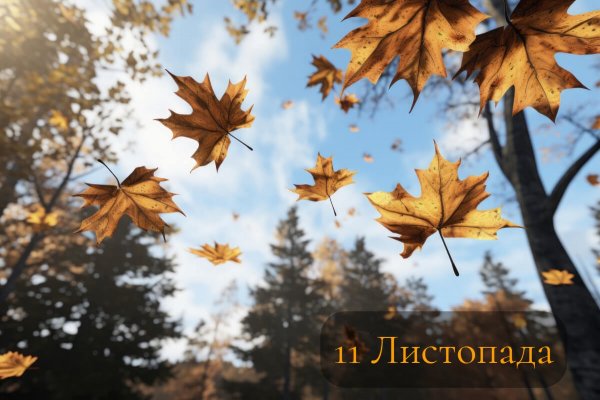 11 Листопада