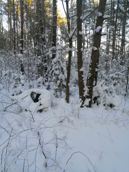 Рыбалка