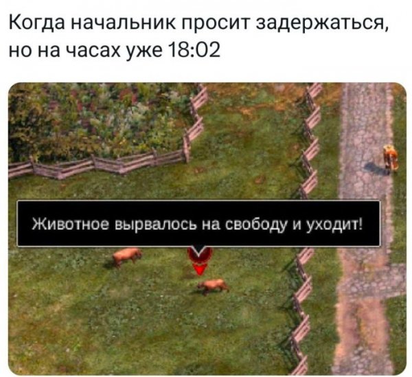 Pozitivom-luchshie-memy-i-kommentarii-iz-seti-uzhe-zdes-14