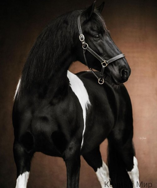 status 1b034d80cd8c41e3becb0ad29a133952