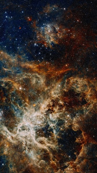 E12414593