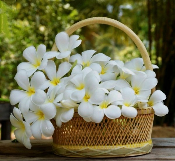 24hgmtxwYCeWbdyjqtunNAsdpNLeEafpwWx75M6 v00FzVjL5oJf3e k2xtf