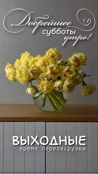 Друзья мои!